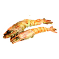 Gamba's