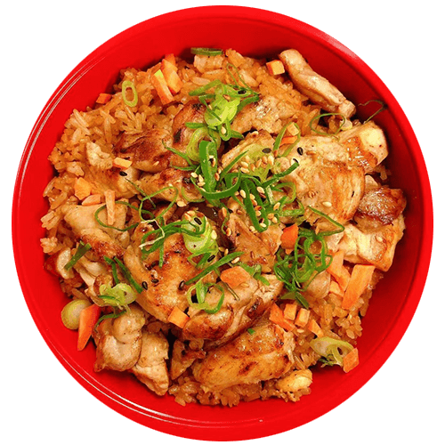 Chicken meshi