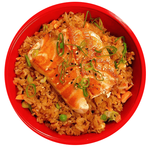 Salmon meshi