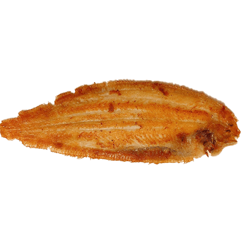 Slibtong