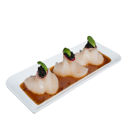 Coquille sashimi