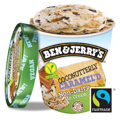 Ben & Jerry's Non-Dairy Coconutterly Caramel'd (500ml)