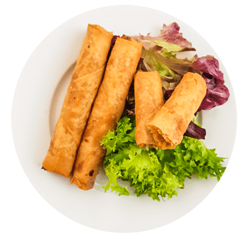 Vietnamese kip loempia