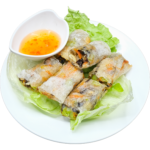 Vegan Vietnamese spring roll