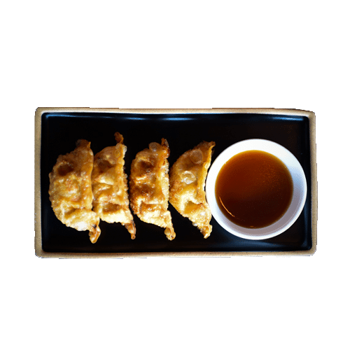 Chicken mandu