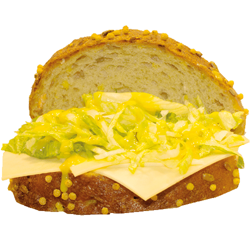 Jong belegen kaas sandwich