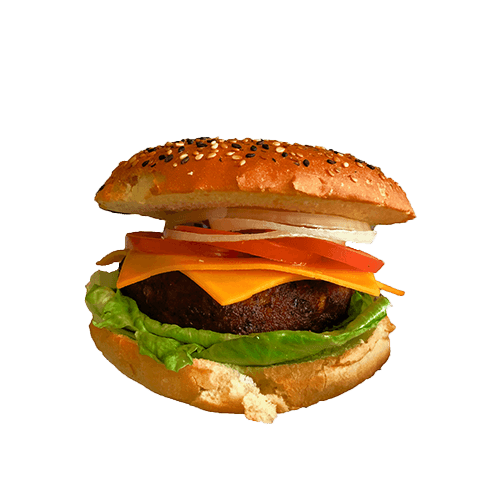 Veggielicious burger
