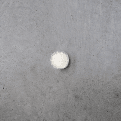 Homemade citroenmayonaise