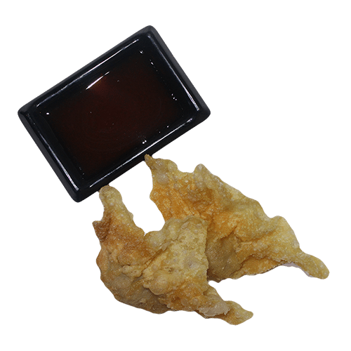 Wonton