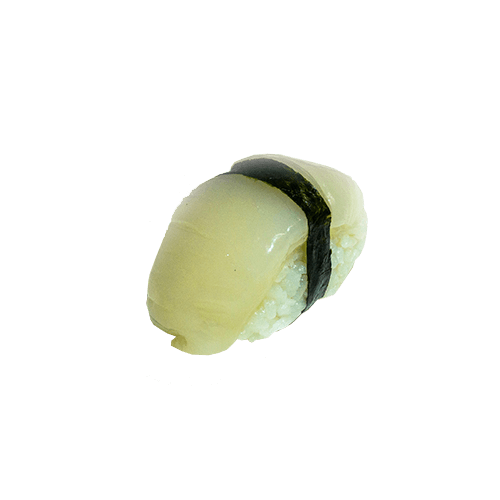 Hotategai nigiri