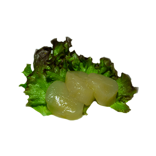 Hotategai sashimi