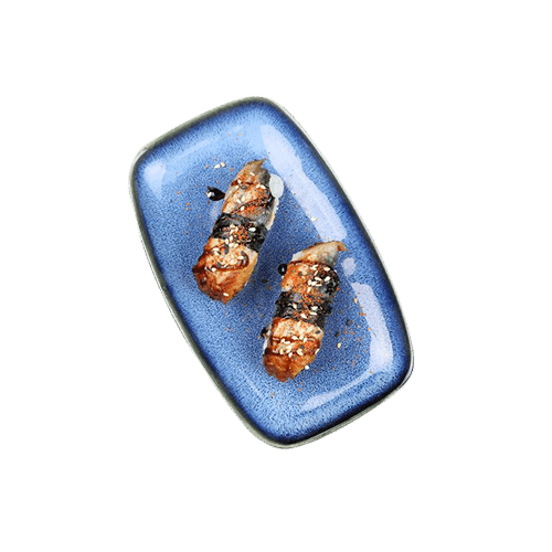 Nigiri grilled eel