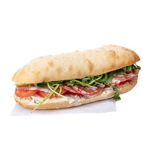 Ciabatta spianata romana