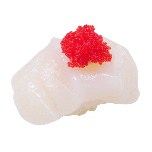 Hotategai nigiri