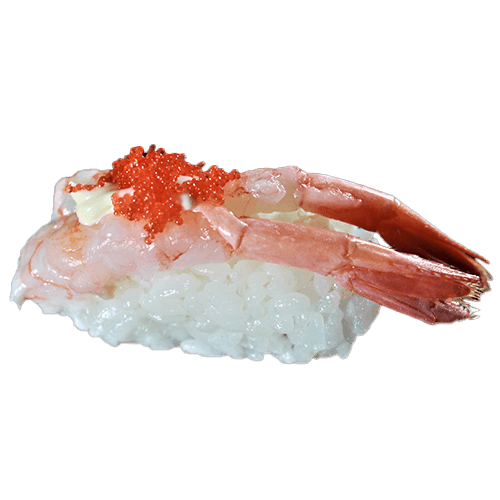 Ama-ebi nigiri