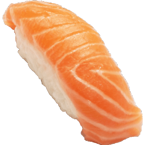 Sake nigiri