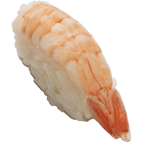 Ebi nigiri