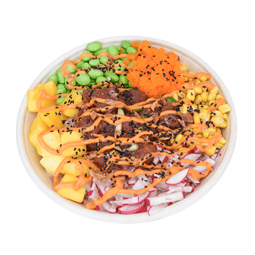 Spicy tuna bowl