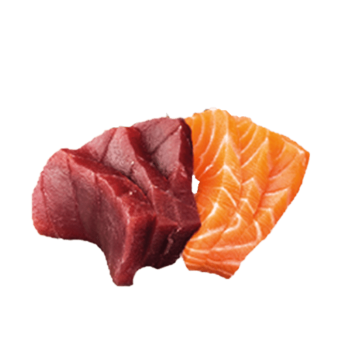 Sashimi duo