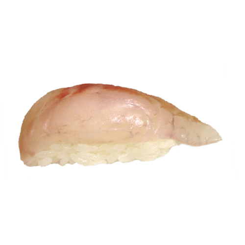 Nigiri suzuki