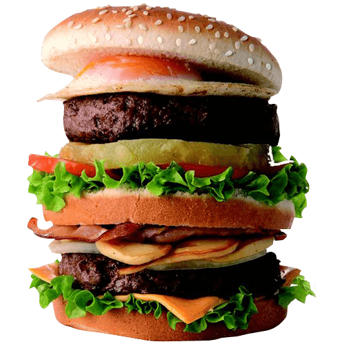 Arizona double burger