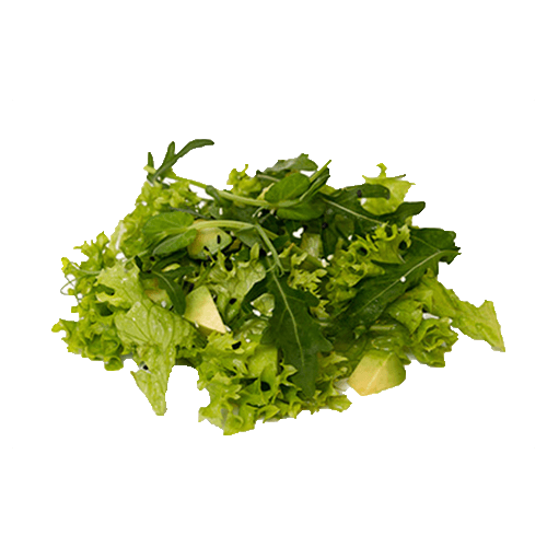 Evergreen salade