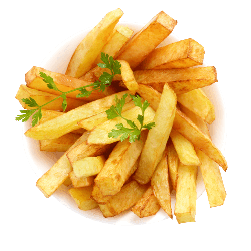 Vlaamse friet