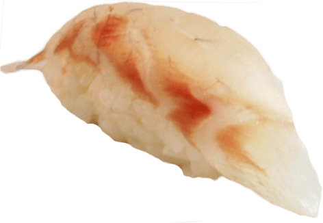 Suzuki nigiri