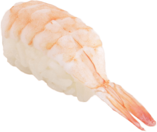 Ebi nigiri