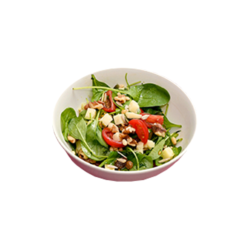 Salade bowl 'Orense' (V)