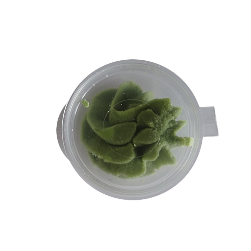 Bakje wasabi