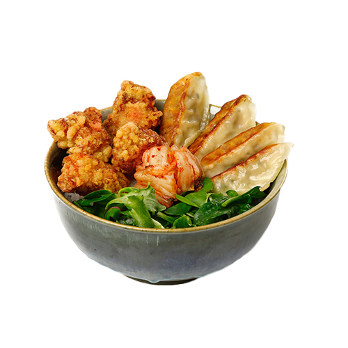 Fried chicken gyoza don