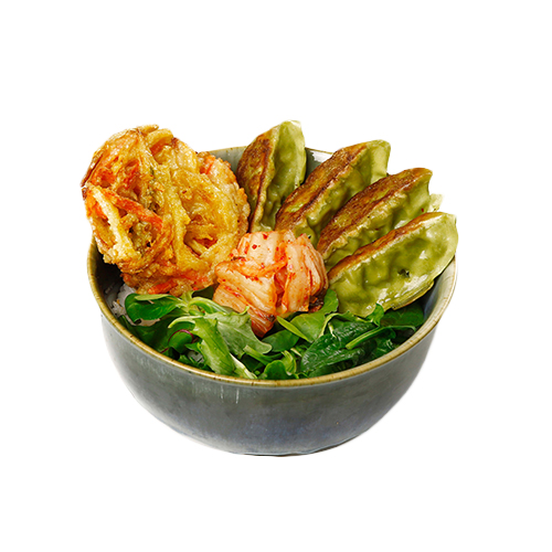 Veggie tempura gyoza don