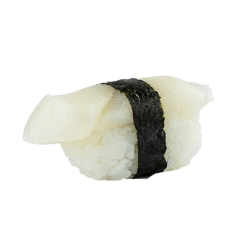 Hotategai nigiri