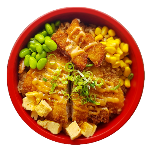 Crispy chicken don
