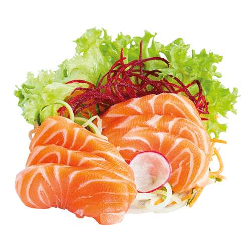 Sake sashimi