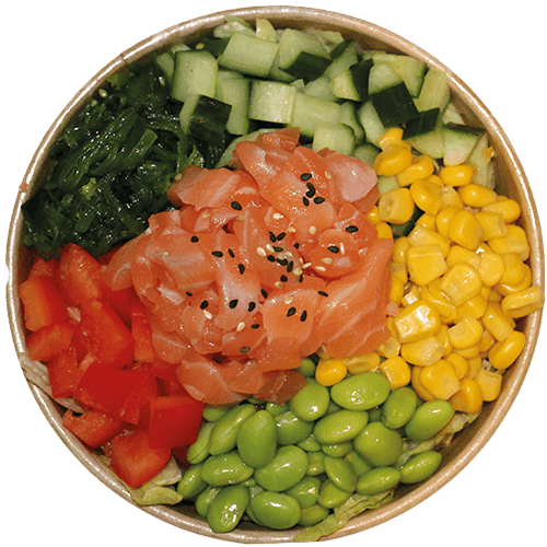 Poké Salmon