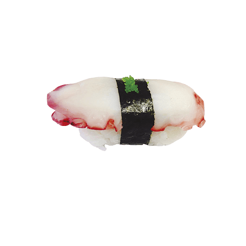 Tako nigiri