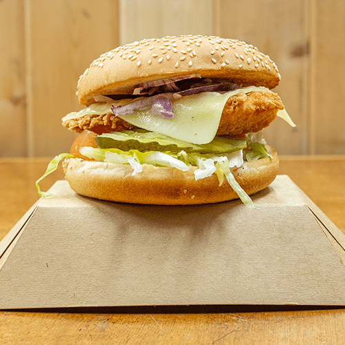 Chicken burger special