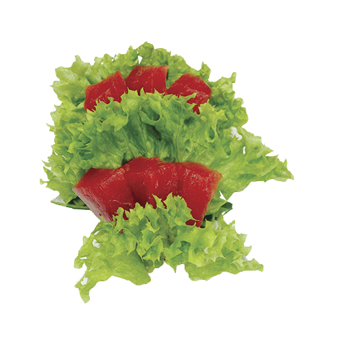 Tuna sashimi