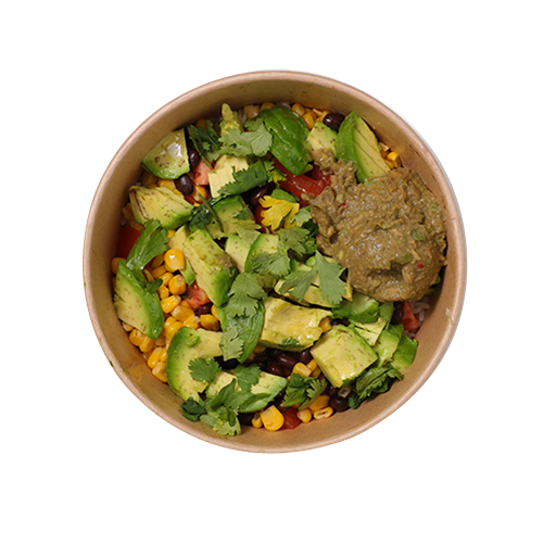 Burrito bowl veggie