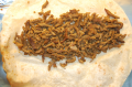 Dürüm shoarma