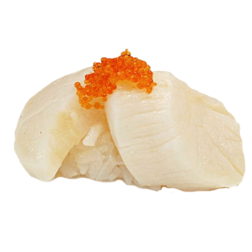 Hotategai nigiri