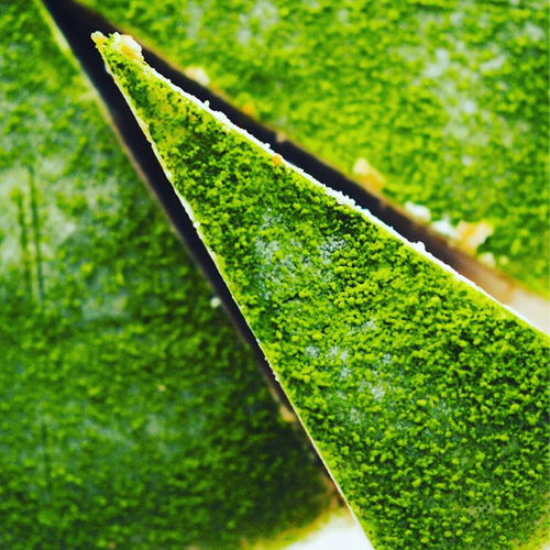 Green velvet matcha