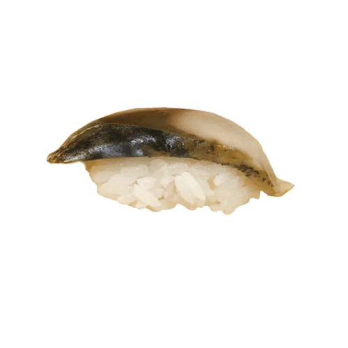 Saba nigiri