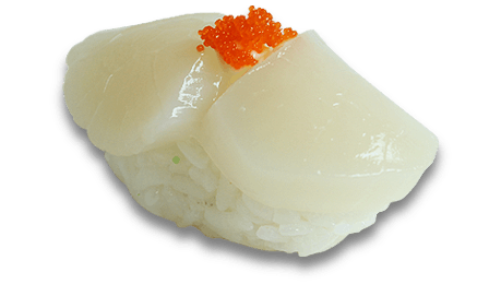 Hotate scallop