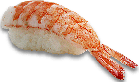 Ebi shrimp