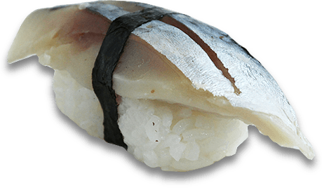 Saba mackerel