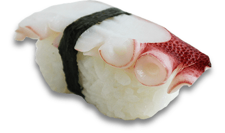 Tako octopus