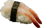 Nigiri freshwater shrimps